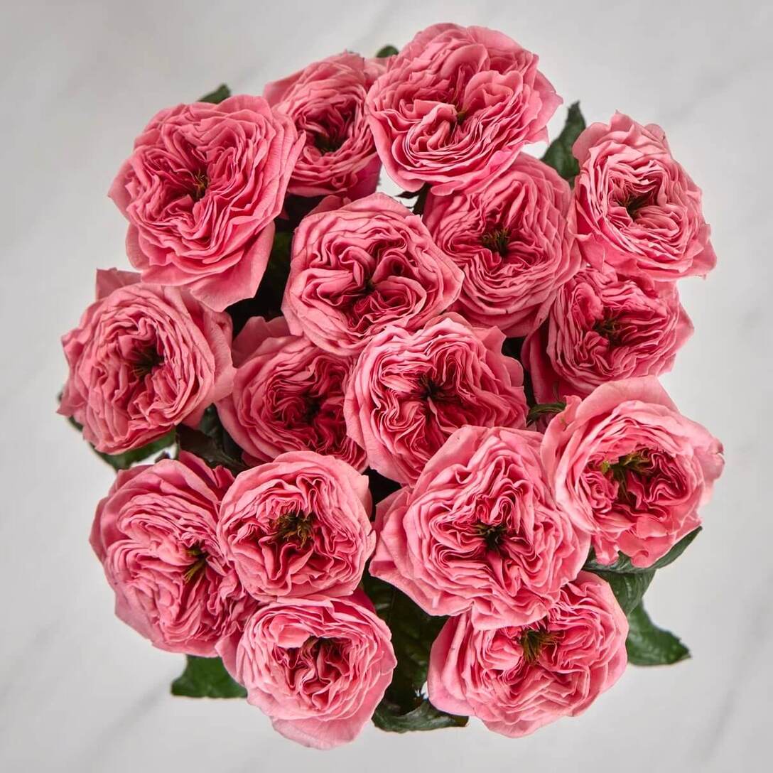 Букет из 17 роз 