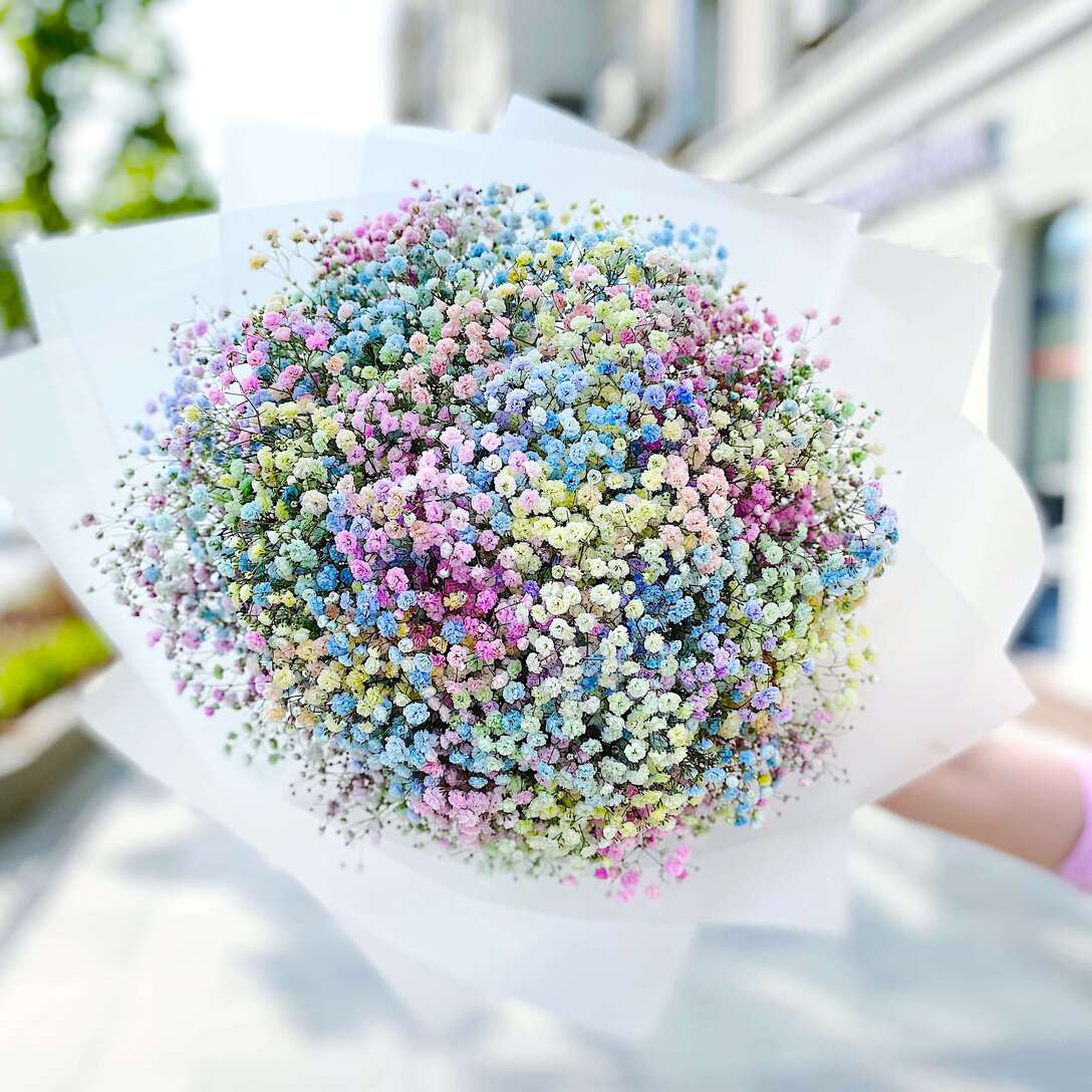 Букет Гипсофила Радужная