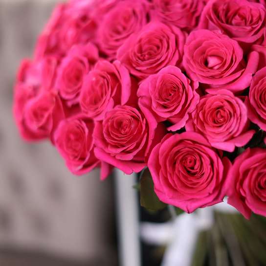 Букет из 101 розы "Pink Floyd"