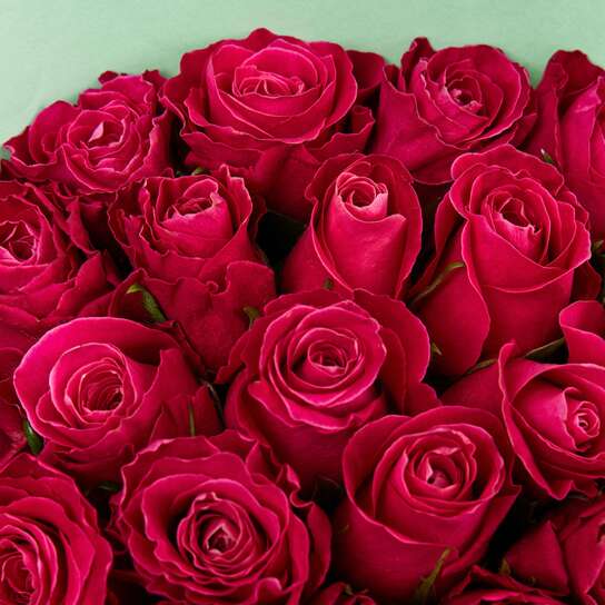 Букет из 21 розы "Cherry O! Kenya" GREEN Фото 3