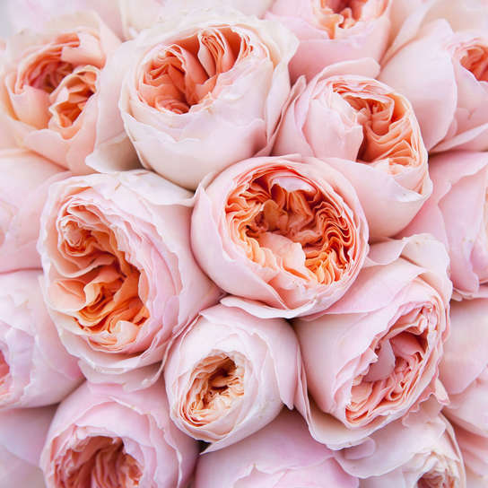 Шляпная коробка Grand "Розы Austin Juliet" PINK