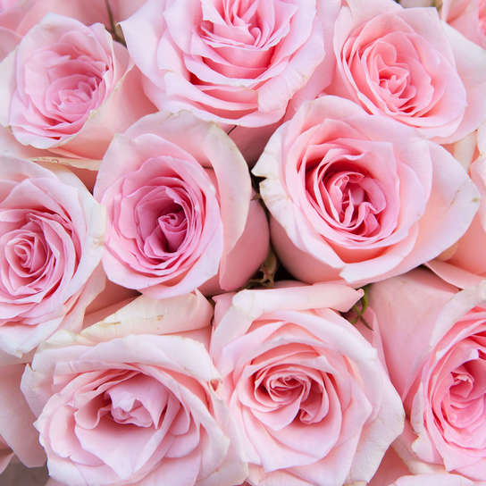 Шляпная коробка Grand с розовыми розами  BLVCK