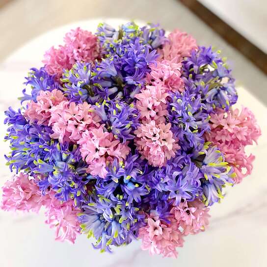 Разноцветные гиацинты в шляпной коробке Grand PINK