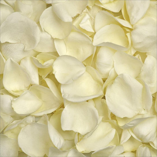 Лепестки роз "Белые"