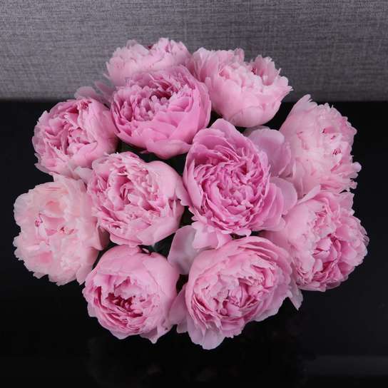 Букет из 11 пионов "Sarah Bernhardt" в вазе