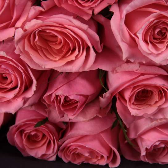 Букет из 35 роз "Pink Kenya" BLVCK