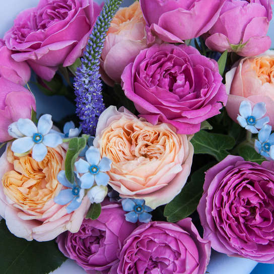 Букет "Magenta Blue" Фото 4