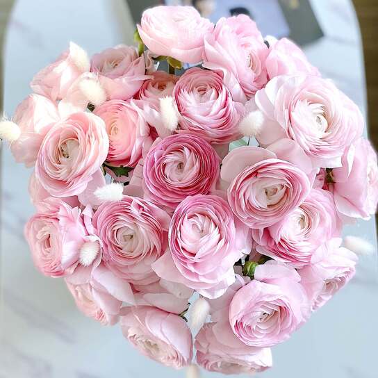 Букет ранункулюсов Lady в вазе