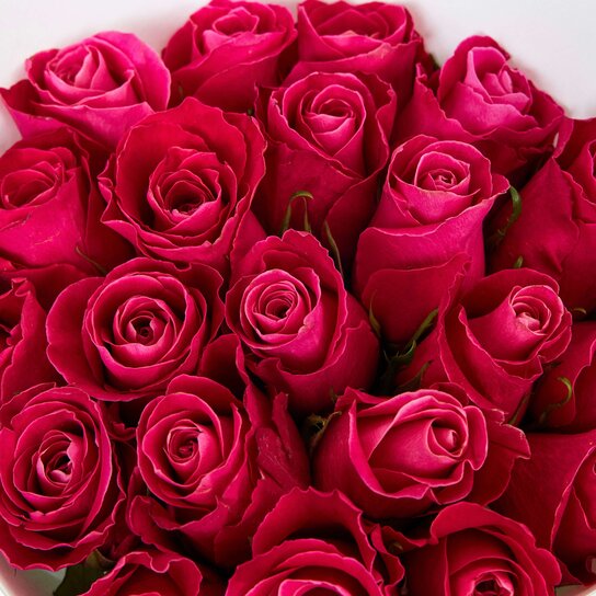 Букет из 21 розы "Cherry O! Kenya" WHITE Фото 3