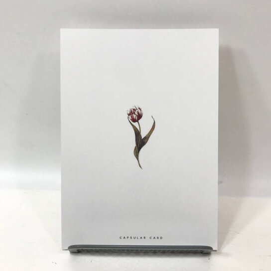 Открытка с праздником Тюльпаны Фото 2