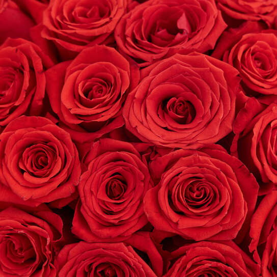 Шляпная коробка Grand "Розы Nina" BLVCK