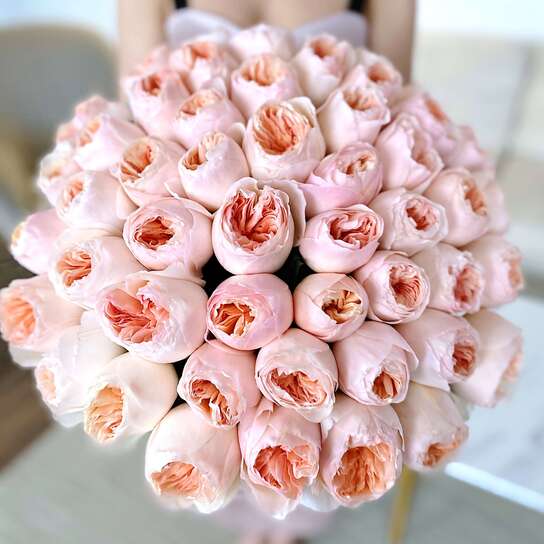 Букет из 51 пионовидной розы "Austin Juliet"