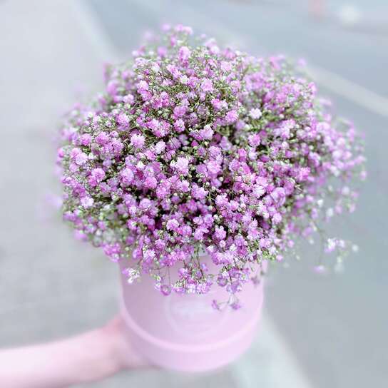 Букет Гипсофила в шляпной коробке Petit PINK
