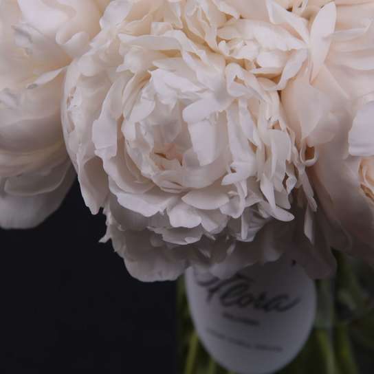 Букет из 19 пионов "Madame Claude Tain" в вазе