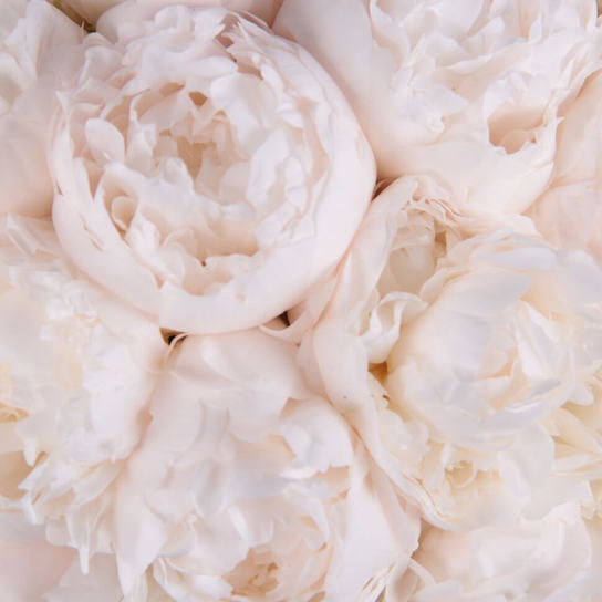 Шляпная коробка Demi "Madame Claude Tain" BLVCK