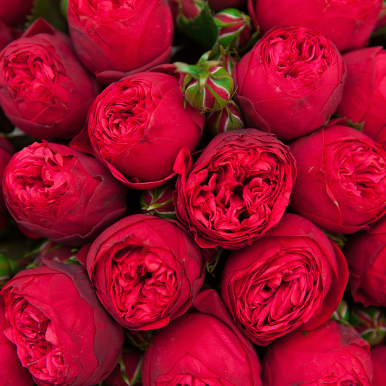 Шляпная коробка Grand "Розы Red Piano" PINK Фото 4