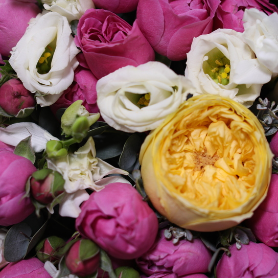 Букет "Oxford" BLVCK