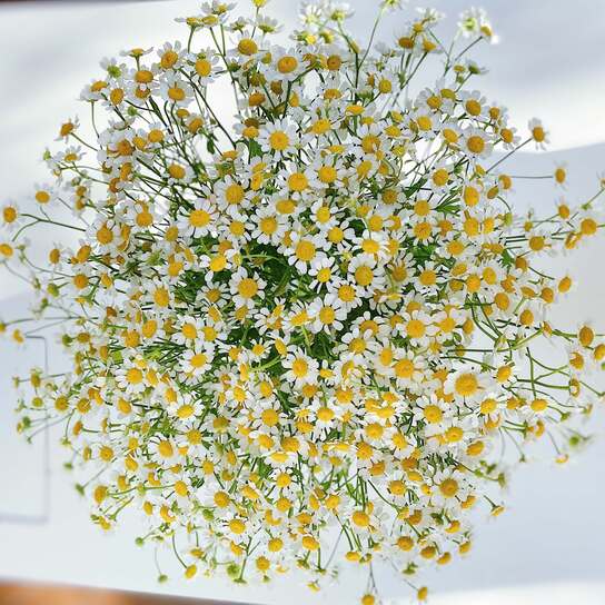 Букет из кустовой ромашки в вазе