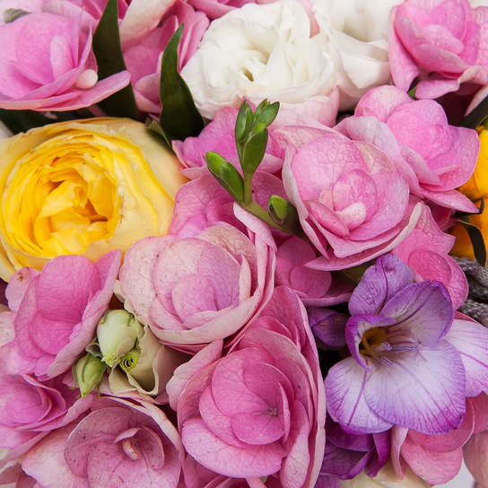 Шляпная коробка Demi  "Fort-de-France" PINK Фото 4