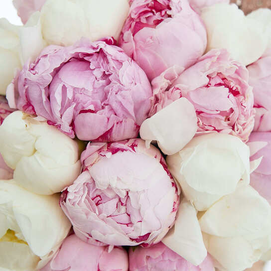 Шляпная коробка Petit "Микс пионов" BLUE Фото 3