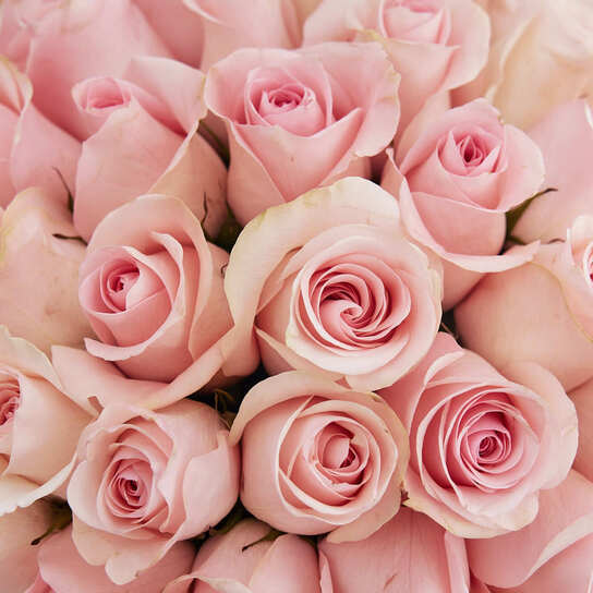 Шляпная коробка Grand "Розы Senorita" PINK