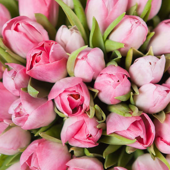 Шляпная коробка Grand "Тюльпаны Pink" PINK