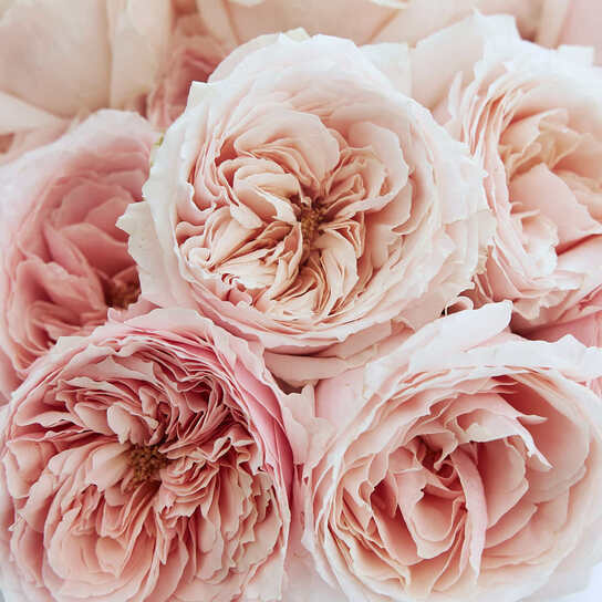 Шляпная коробка Grand "Розы японские Tsumugi" WHITE