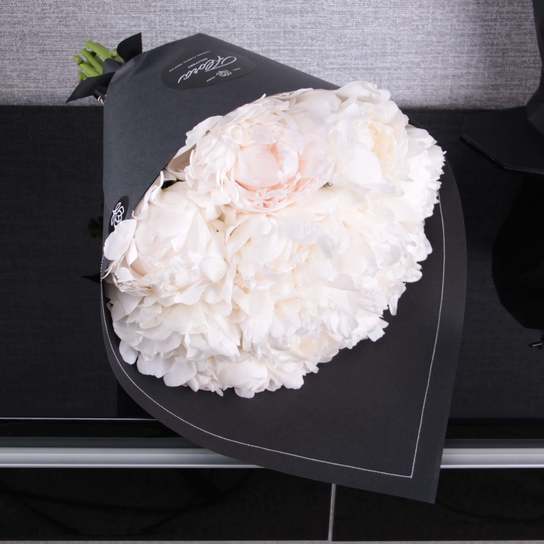 Букет из 11 пионов "Madame Claude Tain" BLVCK