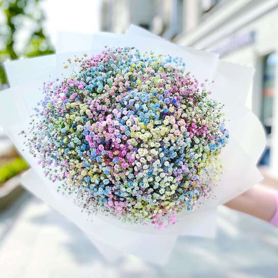 Букет Гипсофила Радужная