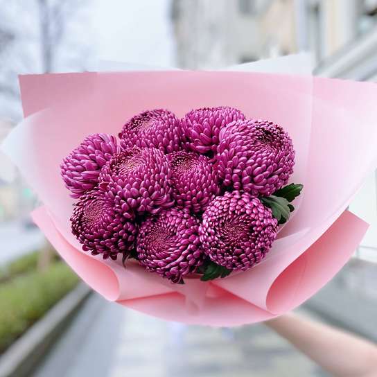 Букет хризантем "Purple" (9 шт.) Фото 2