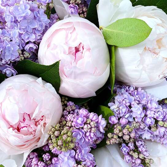 Букет с сиренью и пионами "Venesia" Фото 3