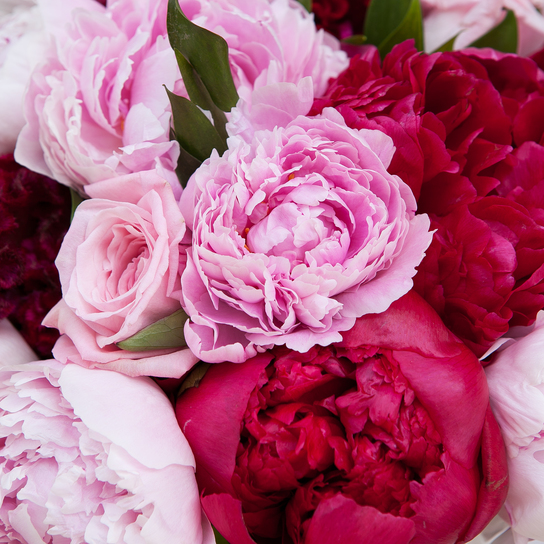 Букет "Wildberry" в коробке Grand Mini WHITE