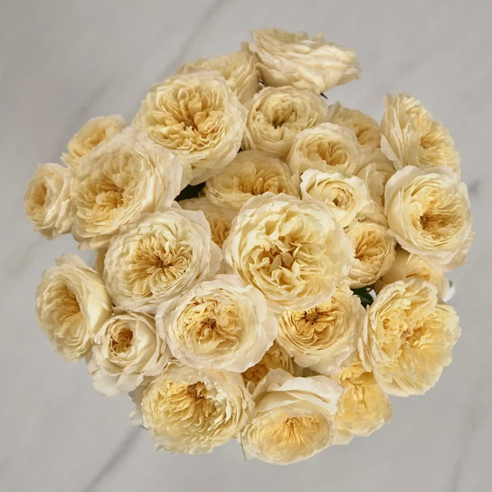 Букет из 11 кустовых роз "Royal Park" в вазе