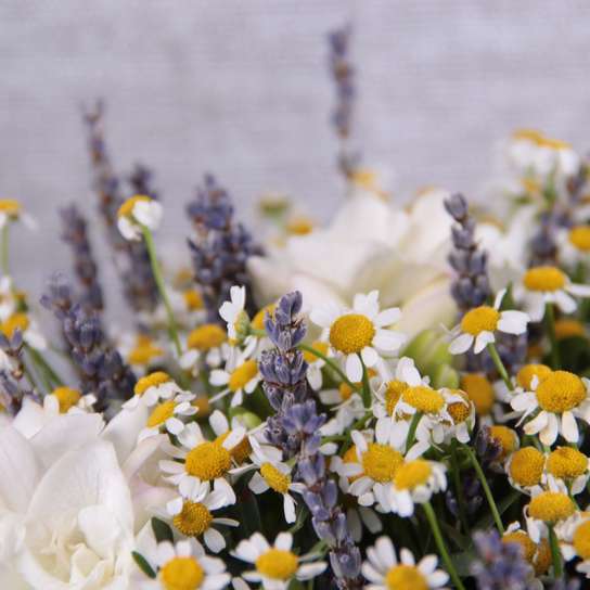 Букет с ромашками "Springfield" в вазе