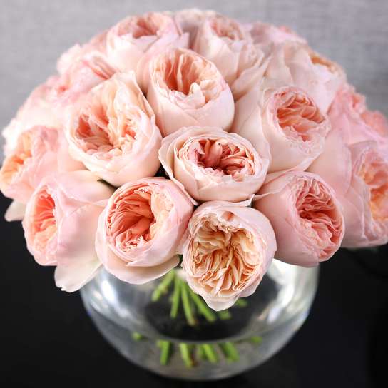 Букет из 25 роз "Austin Juliet"в вазе сфера