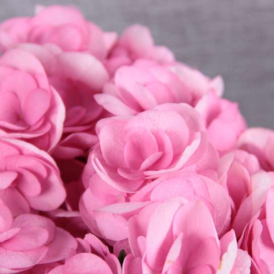 Шляпная коробка Grand "Гортензии Pink" BLVCK Фото 4
