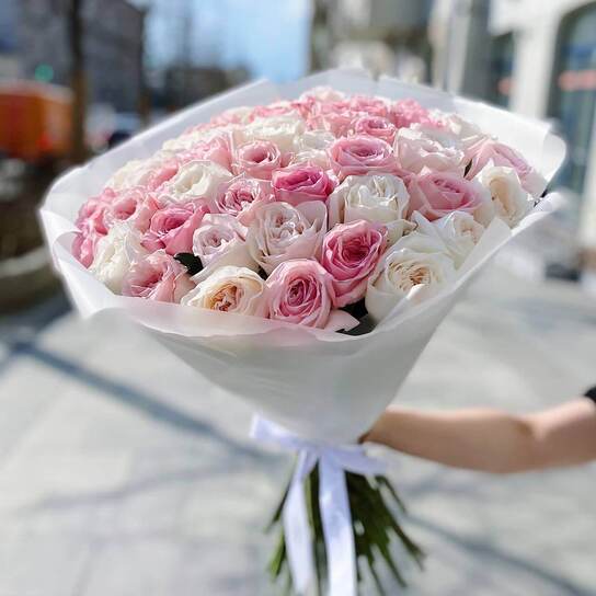 Микс из 51 садовых роз "O'Hara"