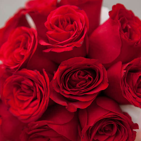 Шляпная коробка Demi "Розы Кения Red" WHITE