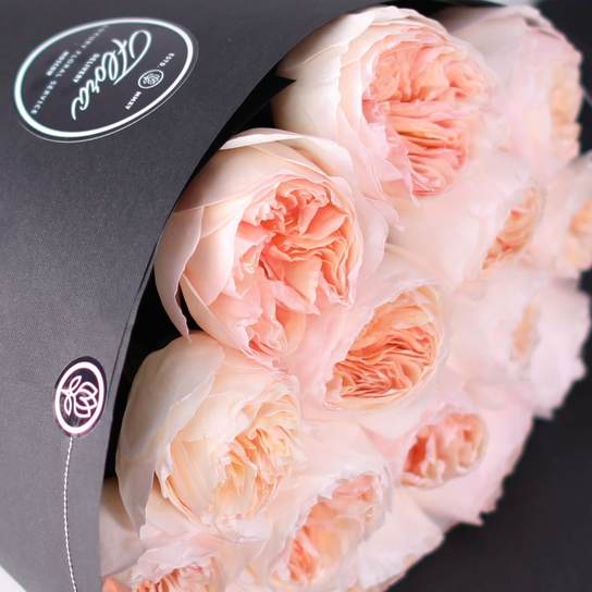 Букет из 15 роз "Austin Juliet" BLVCK