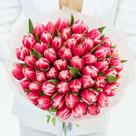 Букет из 51 малиновых тюльпанов "Columbus"