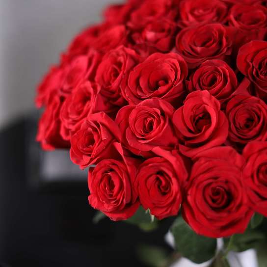 Букет из 101 розы "Freedom"