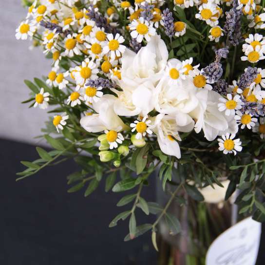 Букет с ромашками "Springfield" в вазе