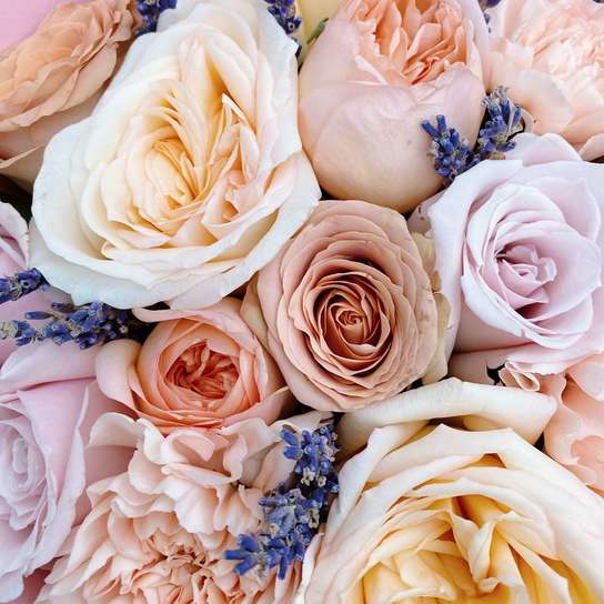 Букет "Louis Roederer" PINK