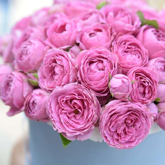 Шляпная коробка Grand "Розы Misty Bubbles" BLUE