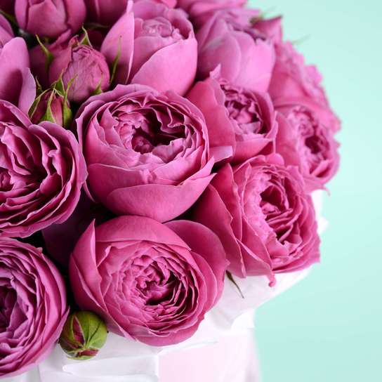 Шляпная коробка Grand "Розы Misty Bubbles" PINK