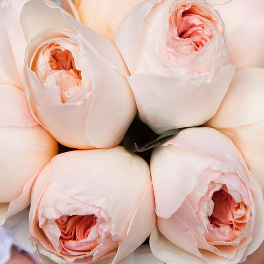 Шляпная коробка Demi "Розы Austin Juliet" WHITE