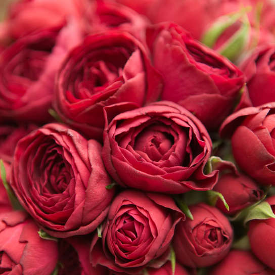 Шляпная коробка Demi "Розы Red Lace" BLVCK