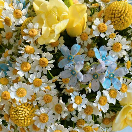 Букет "Twinkle" в вазе Фото 3