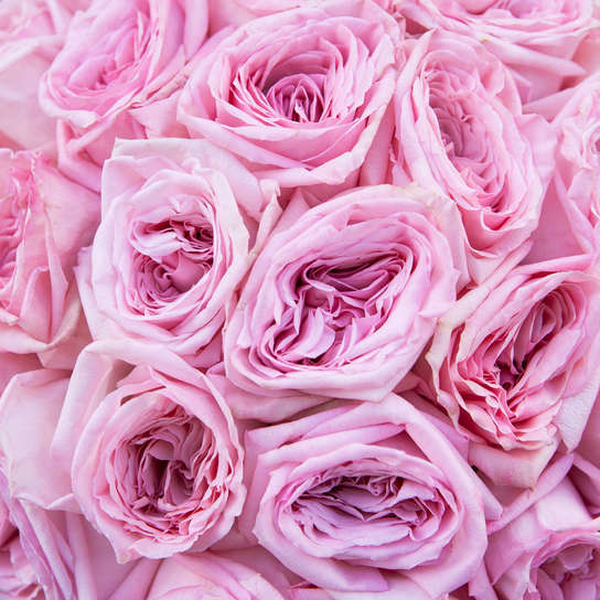 Шляпная коробка Grand "Розы Pink O'Hara" WHITE