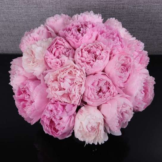 Букет из 19 пионов "Sarah Bernhardt" в вазе